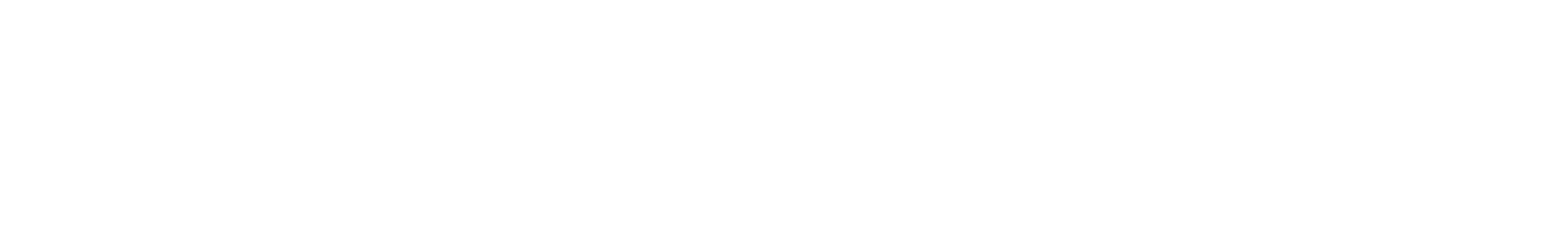 The New York Times Logo